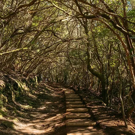 La Cueva Del Pardelo