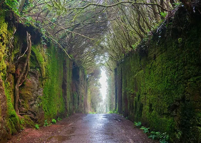 La Cueva Del Pardelo