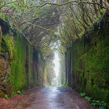 La Cueva Del Pardelo
