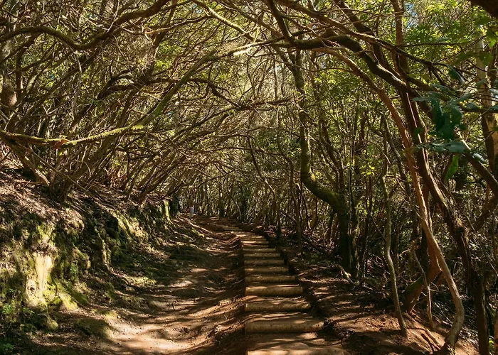 La Cueva Del Pardelo
